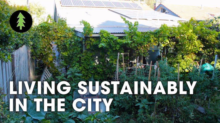 sustainably in the city
